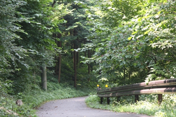 247nasu2010.jpg