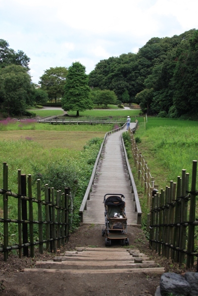 248@公園散歩.jpg
