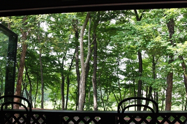 252nasu2010.jpg