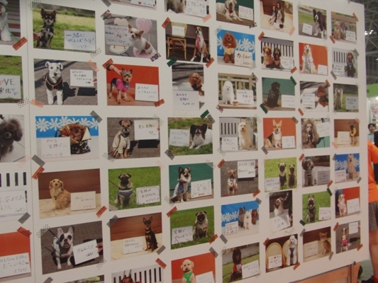257@イベント.jpg