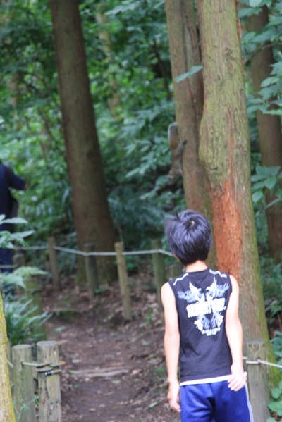 257@公園散歩.jpg