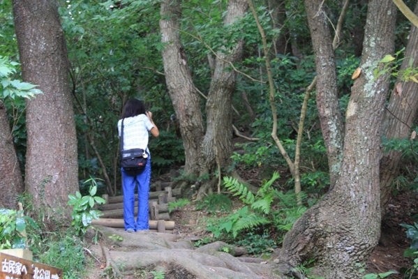 283@公園散歩.jpg