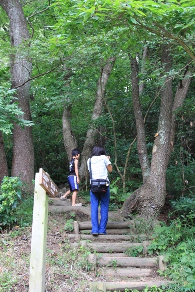 292@公園散歩.jpg