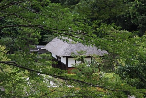 296@公園散歩.jpg