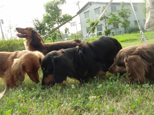 304nasu2010.jpg