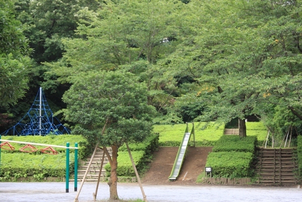 335@公園散歩.jpg
