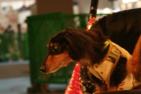 387@イベント.jpg