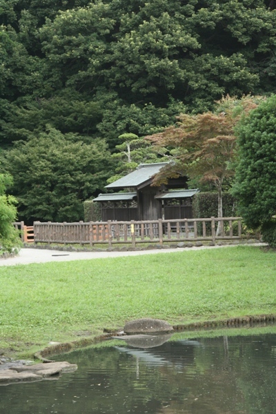 399@公園散歩なっちゃん.jpg
