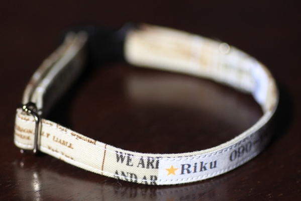 4301@Riku.jpg