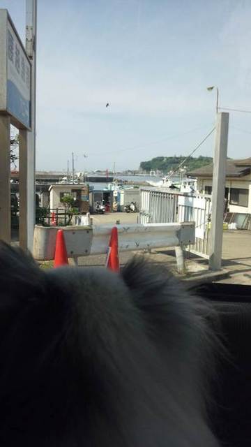 C360_2012-05-14-09-10-09_org@カロンと.jpg