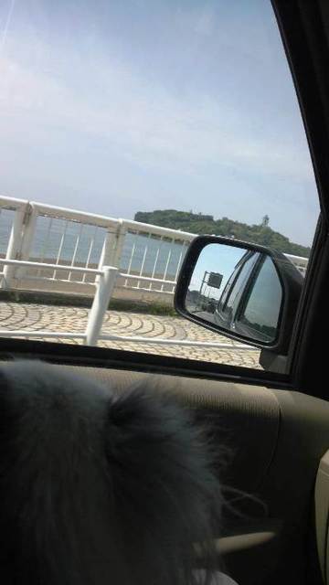 C360_2012-05-14-09-11-00_org@カロンと.jpg