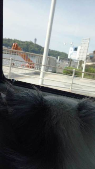 C360_2012-05-14-09-11-56_org@カロンと.jpg
