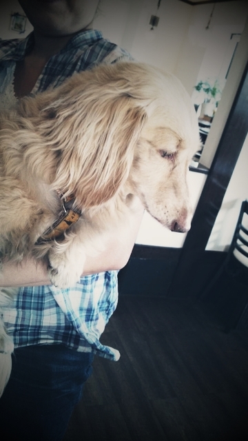 C360_2012-05-18-15-17-59@サリーマロん.jpg