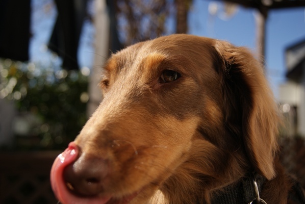 DSC03346イオス.jpg
