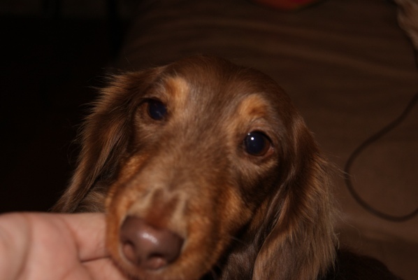 DSC04487イオス.jpg