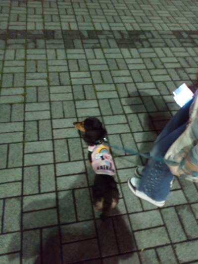 DSC_0502@えびな.jpg