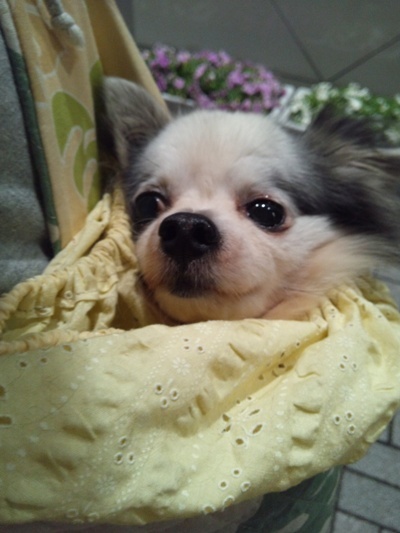 DSC_0503@えびな.jpg