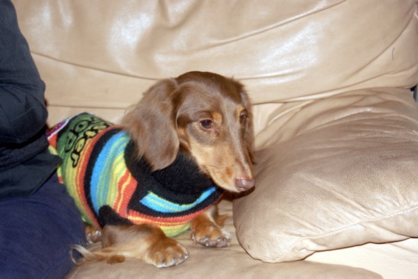 イオス20091220029a.jpg