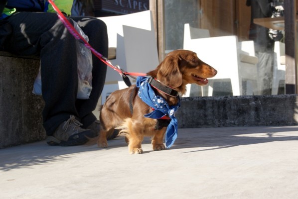 イオス20091220 008a.jpg