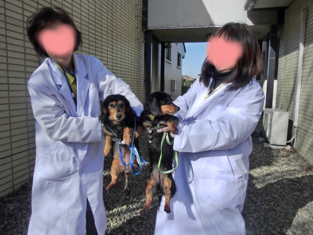 ダックス引き出し「.jpg