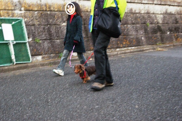 画像 270イオス.jpg