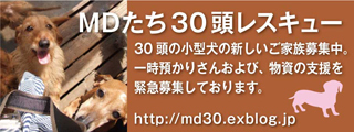 MD30_320x120.jpg