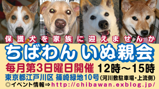 chibawan_teiki_inuoyakai320x180.jpg