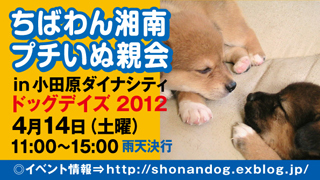 inuoyakai_odawara20120414_320x180.jpg