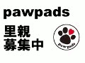 pawpads.gif