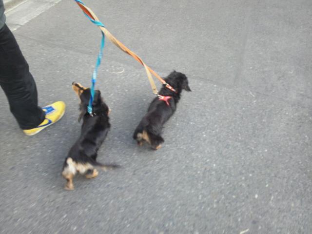 20120130_115256.jpg