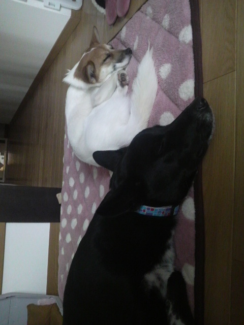 2012011216160000.jpg