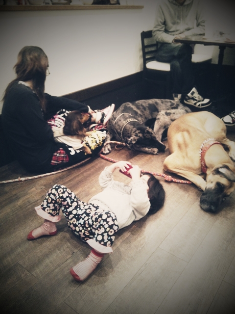 C360_2012-11-25-21-22-04.jpg