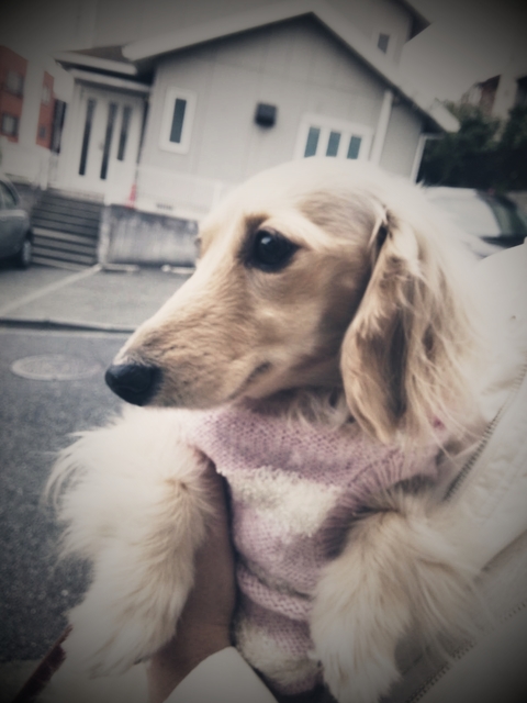 C360_2012-12-28-10-43-16.jpg