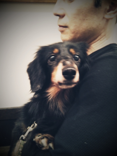 C360_2013-01-09-23-01-58.jpg
