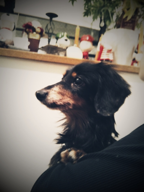 C360_2013-01-09-22-59-48.jpg